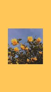 Aesthetic Black And Yellow Flowers F Missmelanatedt Aesthetic Iphone Wallpaper Sunflower Wallpaper Colorful Wallpaper