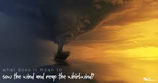 What does it mean to sow the wind and reap the whirlwind (Hosea 8 ...