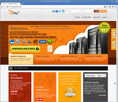 The Web Hosting Phenomenon Web Hosting Web Hosting Business Hosting
