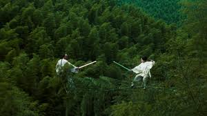 Crouching Tiger, Hidden Dragon Pushed Practical Effects To Their Limits