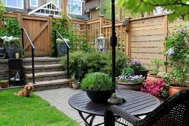 Bamboo plants are perfect for screening along fences to block out neighbors. 12 Simple Landscaping Ideas For Privacy In Your Yard Zacs Garden