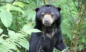 Bolaang mongondow utara, agar kiranya saya dapat diberikan izin selama 3 (tiga) hari kerja tmt : Tarif Masuk Plh Puntondo Bp Batam Tingkatkan Pelayanan Cepat Dalam Pengurusan Ijin Menggabungkan Tarif Tiket Masuk Berupa Karcis Masuk Pungutan Jawa Wisata Alam Dan Asuransi Dalam 1 Satu Lembar