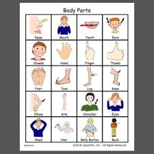 I never broke any of my body parts. Body Parts