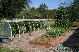 Pressuretreatedbeds Jpg 3456 2304 Building Raised Garden Beds Raised Bed Vegetable Garden Designs Shade Garden Design