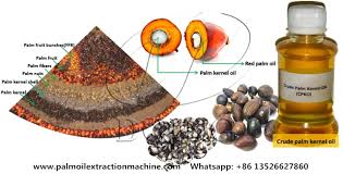 Palm oil is an edible vegetable oil derived from the mesocarp (reddish pulp) of the fruit of the oil palms, primarily the african oil palm elaeis guineensis. High Quality Small Scale Palm Kernel Oil Processing Plant With Kernel Shell Separator Machine Of Product From Pipe China Cn 162370177