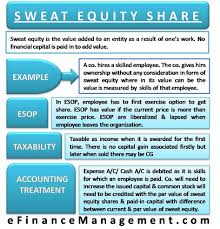 Sweat Equity Share Accounting Finance Money Management Bookkeeping Business