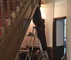 Dampen the squeak with lubricant. Pink Brownstone How We Silenced Our Extremely Loud Creaking Stairs Brownstoner