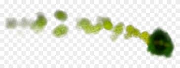 Check spelling or type a new query. Green Fire Png Green Fire Gif Png Free Transparent Png Clipart Images Download