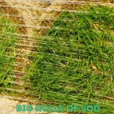 As the price of the sod usually depends on the size of the pallet, the price range also varies with your choice. How Much Does A Pallet Of Sod Weigh Sod Square Feet Calculator Cg Lawn