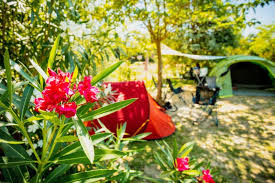 See 79 traveler reviews, 56 candid photos, and great deals for camping a l'ombre des oliviers, ranked #1 of 2 specialty lodging in cazilhac and rated 3.5 of 5 at tripadvisor. Camping A L Ombre Des Oliviers Mittelgrosser Camping In Cazilhac Herault Frankreich