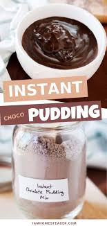 Chocolate Pudding Recipe I Am Homesteader Recipe Instant Chocolate Pudding Recipe Chocolate Pudding Recipes Homemade Pudding