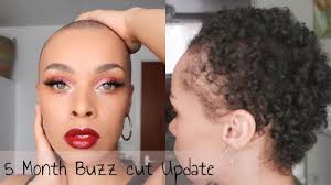How can you tell if your hair is still alive? 5 Month Buzz Cut Update Growing Back My Naturally Curly Hair Youtube