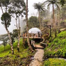 Mashiramo Glamping | Manaure Balcón del Cesar