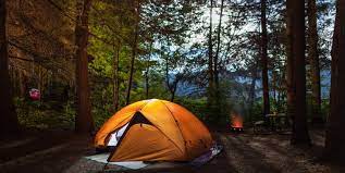 Truck and travel the number one trucker app. 39 Inspiring Camping Quotes Best Funny Quotes About Camping
