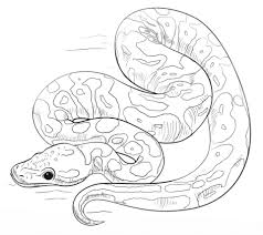 Welcome to the snake coloring pages page! Parentune Free Printable Snakes Coloring Pages Snakes Coloring Pictures For Preschoolers Kids