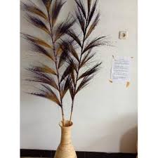 Pengeringan memungkinkan untuk menggunakan bunga di luar musim mereka sebagai hiasan. × ya Branded Bundling Isi 2 Pcs Bunga Kering Daun Kering Dried Flower Bunga Hias Natural L Shopee Indonesia