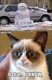 35 Funny Grumpy Cat Memes Grumpy Cat Funny Grumpy Cat Christmas Funny Grumpy Cat Memes Funny Cat Memes