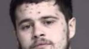 Car break-ins suspects face felonies