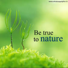 314 New Nature Images For Whatsapp Profile Nature Whatsapp Dp Download Whatsapp adds more features in every update. nature images for whatsapp profile