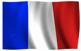 Video i 4k og hd klar til næsten enhver nle nu. French Flag Gifs 23 Animated Tricolor Images For Free