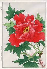 shodo kawarazaki spring flower woodblock prints 花 水彩画 植物イラスト 花 絵