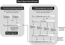 Biased Ligands An Overview Sciencedirect Topics
