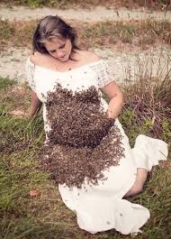Esta Mujer Embarazada Posa Con Mas De 20 Mil Abejas Para Sesion De Fotos Ultimas Noticias De La Actualidad Noticias Virales Mott