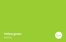 Green color codes and shades of green for html, css and other development languages in hex, rgb and named formats. Yellow Green Meaning Combinations And Hex Code Canva Colors