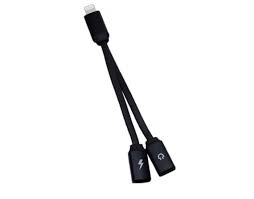 Iphone Lightning Cable Adapter Audio Charging Showmecables Com