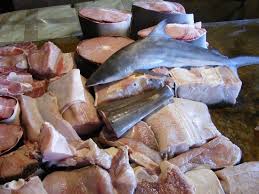 Sushi is a japanese inspired seafood dish made from raw fish such as salmon. Is Shark Meat Halal