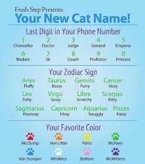 Learn which color ribbon goes with which cancer, and what color covers all cancers or rare cancers. Favorite Color Justpost Virtually Entertaining