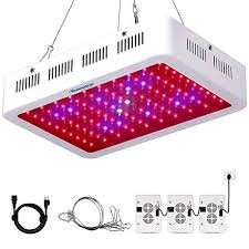 Check spelling or type a new query. Led Vs Fluorescent Grow Light Which Is Best For Indoor Marijuana 420 Big Bud
