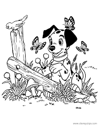 Check out our collection of 101 dalmatians coloring pages below. 101 Dalmatians Coloring Pages 6 Disneyclips Com