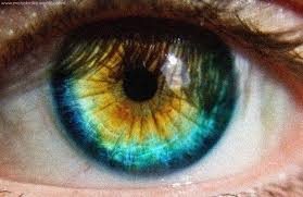Heterochromia is a variation in coloration. I Learned A Thing That Quiet Girl You Sort Of Know