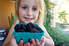 Nectarine Pie [Recipe]