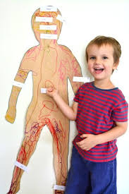 Pin On Montessori 3 Year Olds