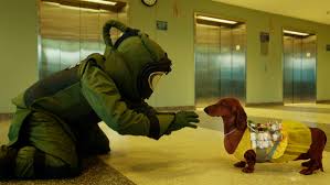 Wiener dogs are some of the cutest dogs on the planet. Wiener Dog Todd Solondz Is Always Painfully Funny The Japan Times