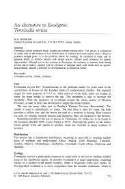 Image result for Terminalia sericea ×  trichopoda