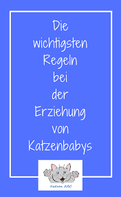 Erziehung Von Katzenbabys Katzenbabys Baby Katzen Katzen