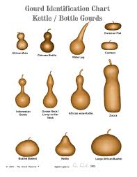 Gourd Identification Charts