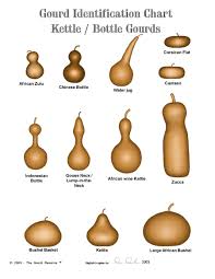 gourd identification charts