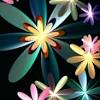 La bella bionda ti augura la buonanotte. Https Encrypted Tbn0 Gstatic Com Images Q Tbn And9gctnsoxd1dfpbi Dzdm3oavefehlg4v 94lh3by4kq3jg 0dynx9 Usqp Cau