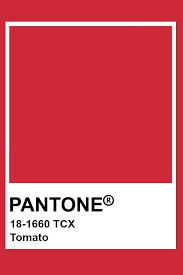 pantone tomato in 2019 pantone colour palettes pantone