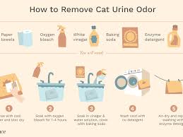 White vinegar is on our list of stain busters, but other vinegars, such as red wine vinegar and balsamic vinegar, have dyes, additives, and so keep your clothes clean with vinegar. How To Remove Cat Urine Odor From Laundry