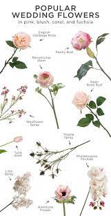 In winter, roses will usually be imported or greenhouse grown, and that adds to their cost. Pink Is Perfect For Any Wedding Here Is A List Of The Most Popular Wedding Flowers In Pink Blush Coral Hochzeit Ablauf Hochzeitsblumen Blumenstrauss Hochzeit