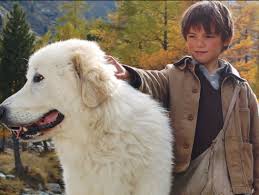Sébastien finds the dog, gives the name of belle to her and they become friends. Belle Et Sebastien Song And Film Activities Teaching Resources