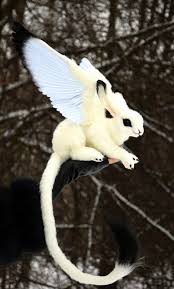 Bellus Lepus Griffin Etsy Cute Fantasy Creatures Animals Cute Creatures