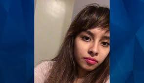 MISSING Vanessa Ceja-Ramirez, 22 from Illinois. whose body was found  earlier this week in a forest preserve in a south Chicago suburb was  strangled, an autopsy revealed Thursday. : r/MissingPersons