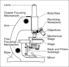 Microscope With Labels Clip Art At Clker.com - Vector Clip Art Online,  Royalty Free & Public Domain