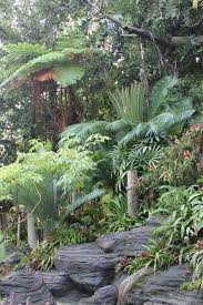 Tropischer Garten Dies Ist Mein Traumblick Auch An Einem Nebligen Tinicum Morgen So Tun Als Einem Tropischer Garten Gartendesign Ideen Tropische Garten